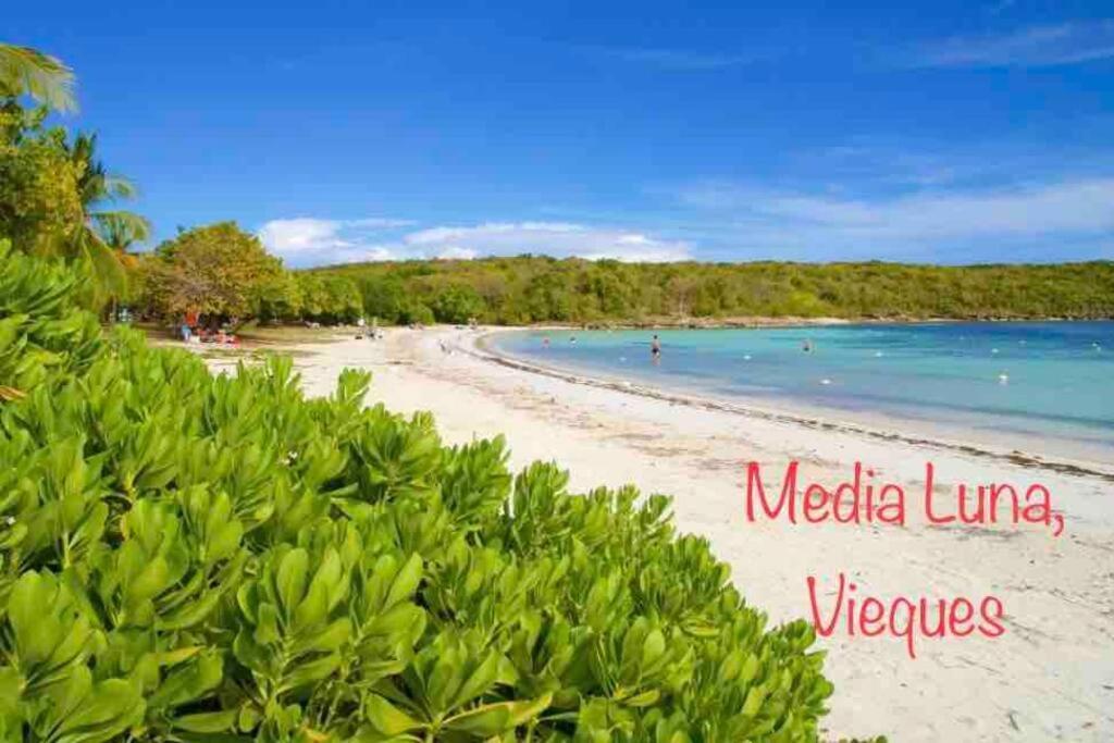 Ocean & Mountains View, Marina, Ferry, Vista Mar, Costa Esmeralda Ceiba Buitenkant foto